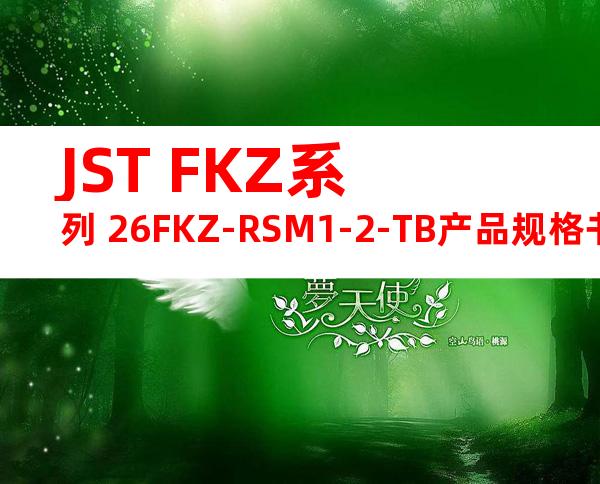 JST FKZ系列 26FKZ-RSM1-2-TB产品规格书
